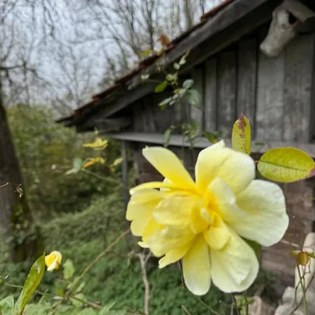 Authentic With Exceptional Views Chalet *